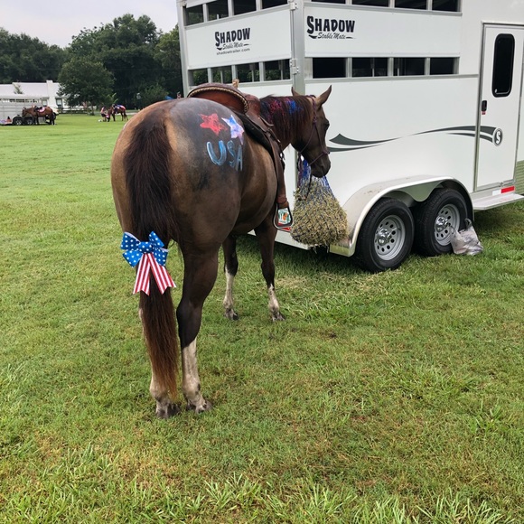 Meet your Posher, Beth - Picture 1 of 1